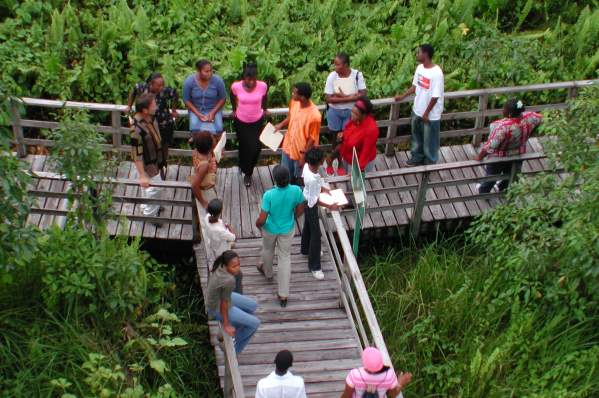 Royal Palm Preserve - Negril Chamber of Commerce Community Guide Training Programme Photos - Negril Travel Guide, Negril Jamaica WI - http://www.negriltravelguide.com - info@negriltravelguide.com...!