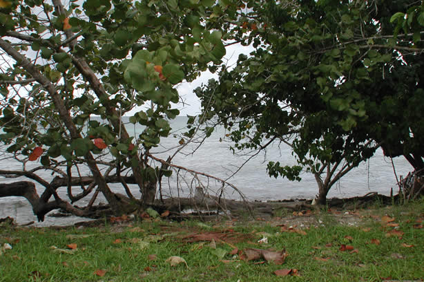 A Photo Walk along Negril's Famous Seven Mile Beach - Negril Travel Guide, Negril Jamaica WI - http://www.negriltravelguide.com - info@negriltravelguide.com...!