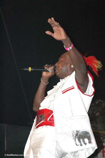 Elephant Man - Red Stripe Reggae Sumfest 2005 - Dancehall Night - July 21th, 2005 - Negril Travel Guide, Negril Jamaica WI - http://www.negriltravelguide.com - info@negriltravelguide.com...!